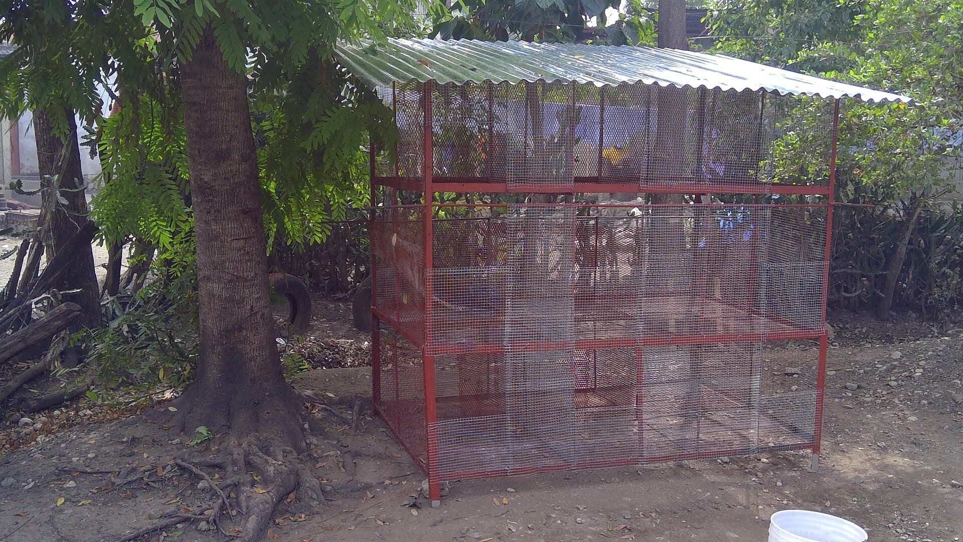 Installation cunicole en cages